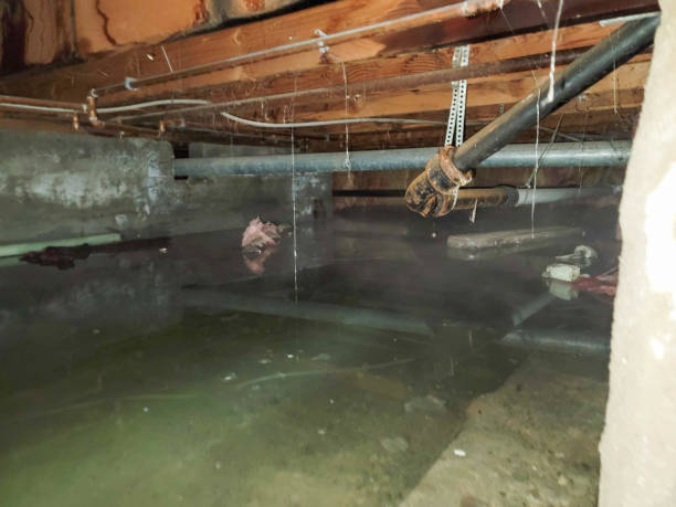Best Water damage contractors near me  in Dover, TN