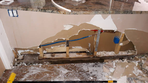 Best Local water damage restoration  in Dover, TN