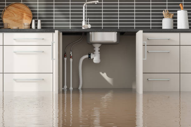 Best Water damage contractors near me  in Dover, TN